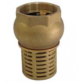 Brass bottom valve-2" - c / check