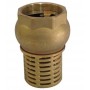 Brass bottom valve-2" - c / check