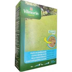 Regenerating lawn seeds-kg. 1-vilmorin