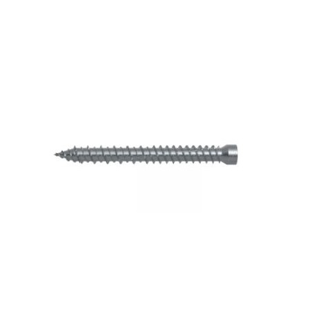 Headless screw torx fischer - ffsz 7.5x182 - for windows