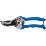 Scissor svettatoio for the vineyard, pruning, pruning, pruning the vineyard, pruning of vesco