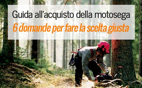 consigli-acquisto-motosega