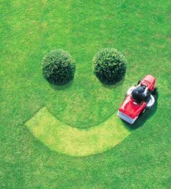 How to choose the lawn mower