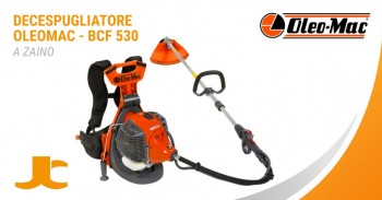 Oleomac BCF 530: the most powerful brushcutter knapsack on the market!