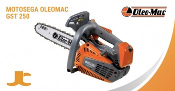 Are you looking for a chainsaw by pruning small but powerful?