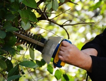 Hedge trimmers, electric Makita: japanese quality